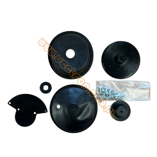 Giuliani anello 3286 - filtr + zestaw naprawczy do reduktorów FGD 15/20/25