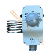 Termostat w obudowie 0-60°C TG 7R1-6R306-00A
