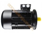 Riello RS / RL 190 - silnik Lafert AMPE 100L / A2  4,5kW