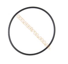 Dungs MBC 300 / W-MF 507 - oring 57x3