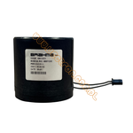 Brahma - cewka BE8*C2C